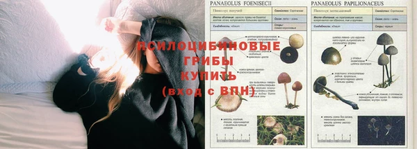 винт Абдулино