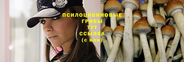 прущая мука Абинск