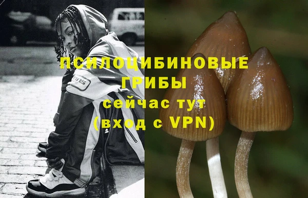 мескалин Абаза